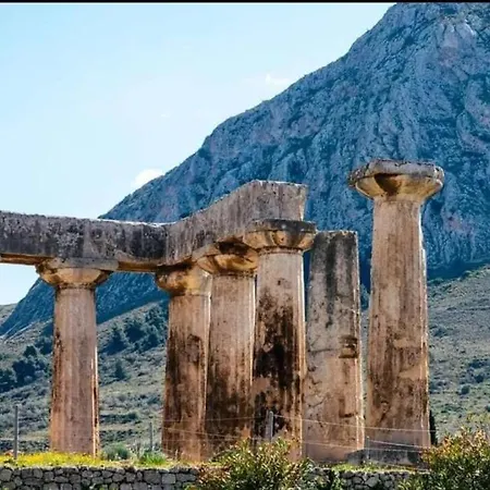 Apartment Rooftop Garden *