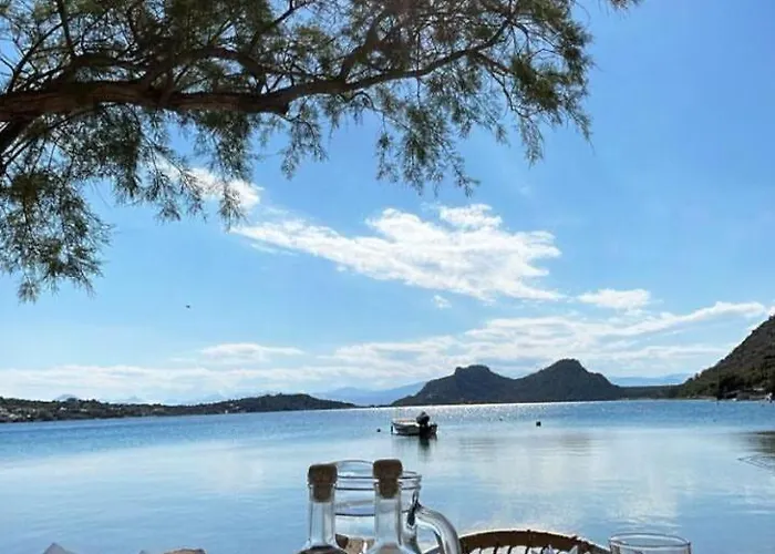 Lägenhet Rooftop Garden